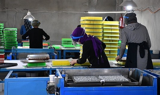 40 meslekte daha Mesleki Yeterlilik Belgesi zorunlu oldu. Belgesi olmayan çalışamayacak – Yaşam 40 meslekte daha Mesleki Yeterlilik Belgesi zorunlu oldu. Belgesi olmayan çalışamayacak - Yaşam